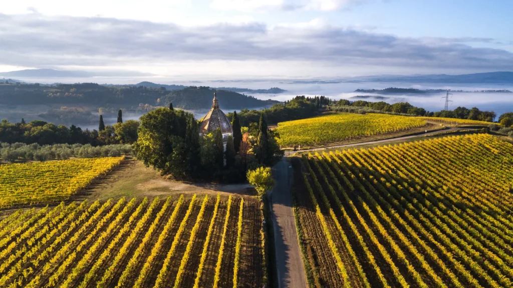 Esperienze nel Chianti con degustazione di vino a Semifonte nel Chianti