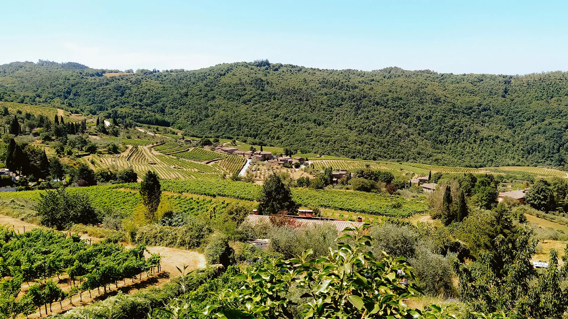 vista sulla natura che circonda lamole in chianti