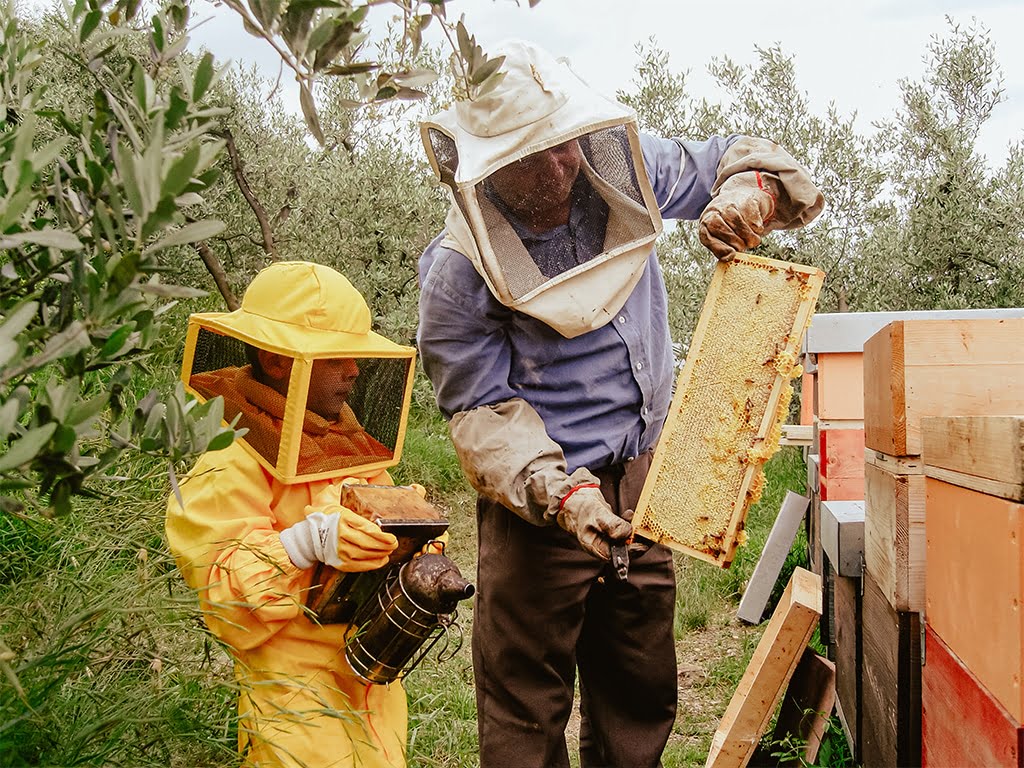esperienza per bambini da apicoltore nel chianti con degustazione di miele