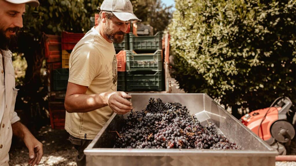 I consigli di WeHike su cosa fare in autunno nel Chianti