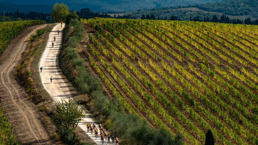 An image of Eroica 2021 among the vineyards of Chianti