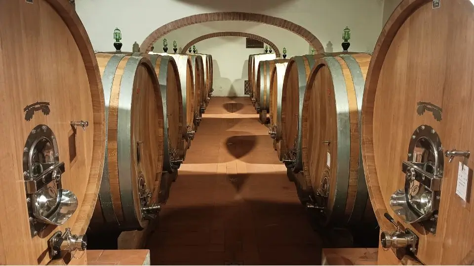 Esperienza nel Chianti con visita alle cantine dove viene prodotto il Chianti Classico