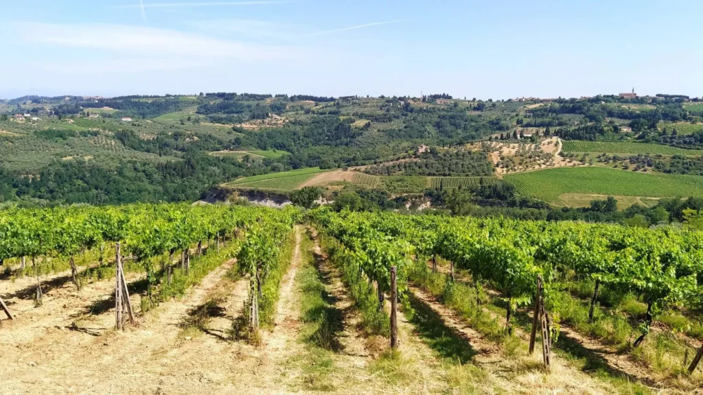 Scopri cosa fare nel Chianti con la guida alle migliori esperienze di WeHike