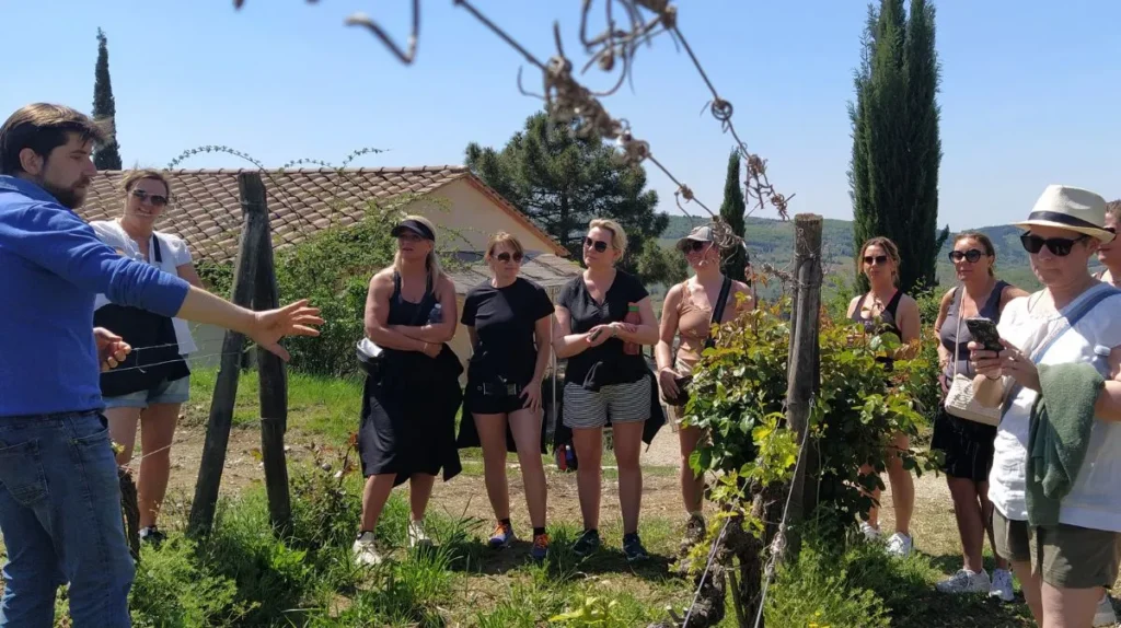 Esperienza con tour in azienda vinicola del Chianti
