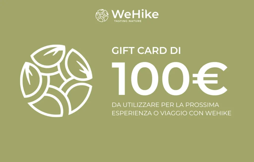 Gift card WeHike da 100€
