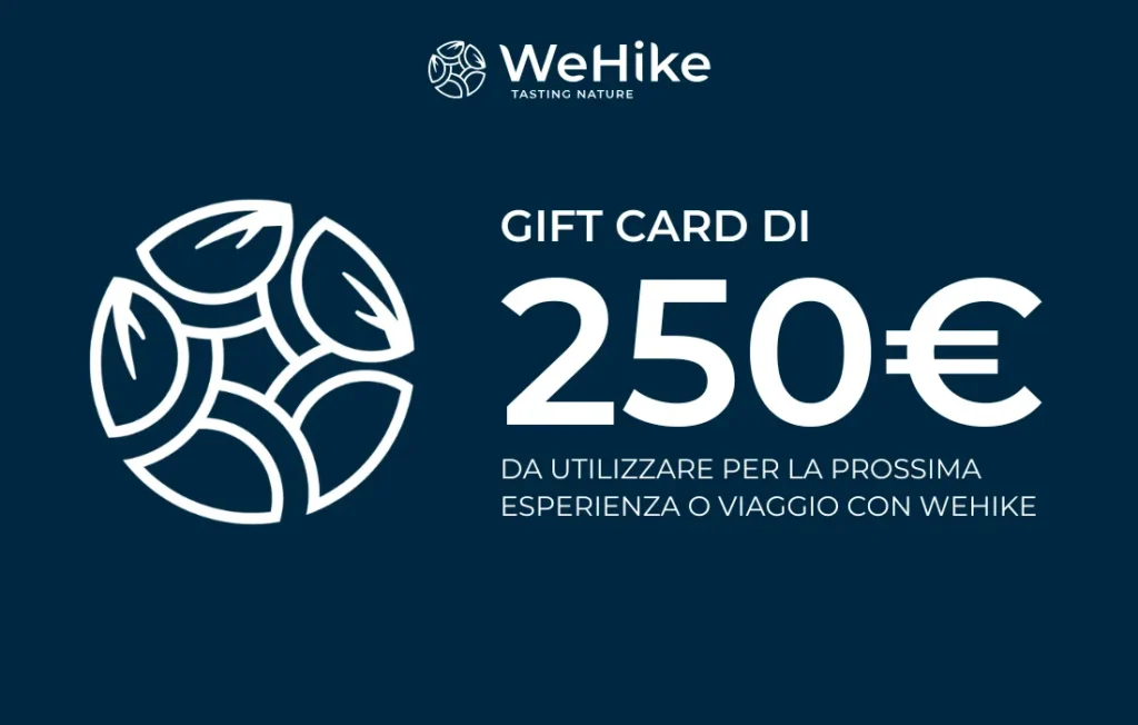 Gift card WeHike da 250€