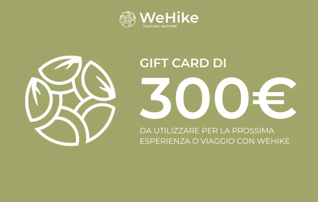 Gift card WeHike da 300€