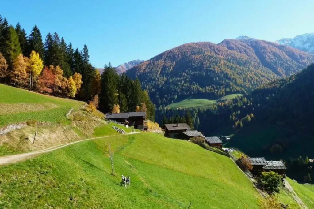 Giro della Malghe in Val d'Ultimo