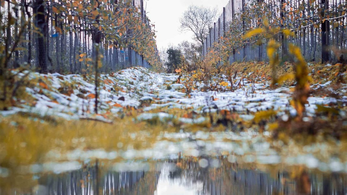 Anche l'inverno nel Chianti può riservare opportunità ed esperienze emozionanti