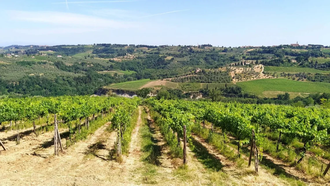 Guida alle migliori esperienze da fare nel Chianti