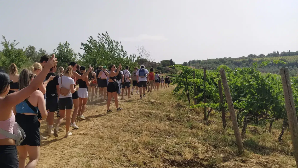 Trekking enogastronomico in Toscana nel Chianti