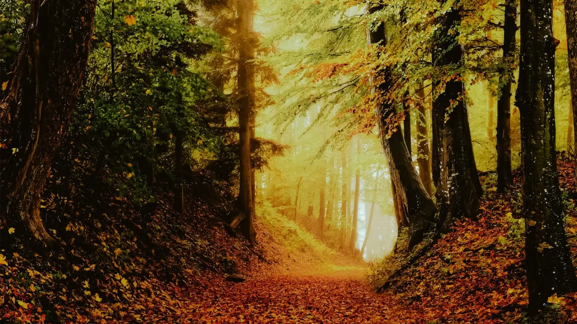 Quale è la differenza tra hiking e trekking? Scopriamola con WeHike