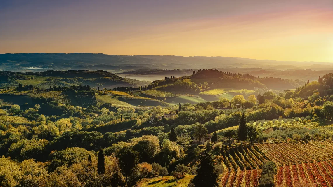 Il territorio del Chianti: storia, tradizioni ed eccellenze di una terra unica